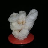 Halita
6cm x 6cm
(Autor: srm13151)