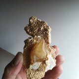 Calcita y Dolomita
9x5 cm aprox
(Autor: ximocompany)