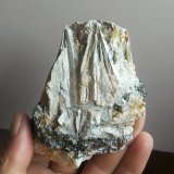 Cianita
8x6 cm aprox
(Autor: ximocompany)
