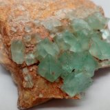 Fluorita
4 x 6 cm
(Autor: Iwok)