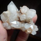 Cuarzo
4,5 x 3 cm
(Autor: Iwok)
