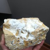 Cuarzo (variedad calcedonia)
15x12 cm aprox
(Autor: ximocompany)