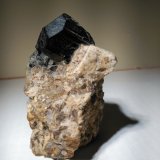 Chorlo (Grupo Turmalina)
5,5x4x3,5 cm
(Autor: jsoage)