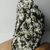 Villamaninita
8 cm x 5 cm
(Autor: Javi Llamazares)