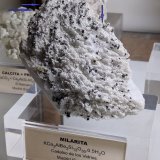 Milarita en Albita
9,5 x 6,0 x 3,0 cm.
(Autor: carles)