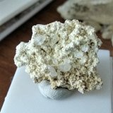 Stokesita
Tamaño pieza 4,1x 3,2 cms
(Autor: Gelo)