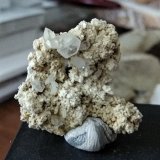 Stokesita
Tamaño pieza 4,9x 3,3 cms
(Autor: Gelo)