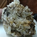 Cuarzo y Rutilo (variedad sagenita)
Los cristales de Rutilo Sagenita tienen 2,3 cms.
(Autor: Gelo)