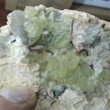 Prehnita y Ortoclasa.
Geoda de Prehnita 7,3x5,5 cms.
(Autor: Gelo)