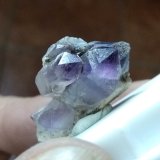 Cuarzo (variedad amatista).
Tamaño grupo de cristales 2,7x1,9 cms.
(Autor: Gelo)