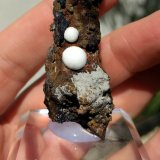 Hemimorfita
7,5 x 3,0 cm.
(Autor: carles)