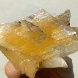 Yeso
9,3 x 4,4 cm.
(Autor: carles)
