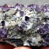 Fluorita
6,5 x 3,4 cm.
(Autor: carles)