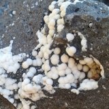 Calcita
Tamaño de el encuadre 10x12 cm aprox, tamaño de las bolas 0,5 cm aprox
(Autor: ximocompany)