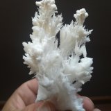 Aragonito
12x6 cm aprox
(Autor: ximocompany)