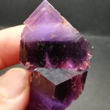 Fluorita
3 x 5,2 cm
(Autor: Iwok)