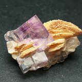 Fluorita y Barita
2,6 x 1,6 cm
(Autor: Iwok)
