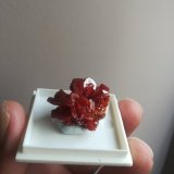 Vanadinita
Tamaño de la caja 35x45 mm aprox
(Autor: ximocompany)