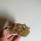 Fluorita
8x6 cm aprox
(Autor: ximocompany)