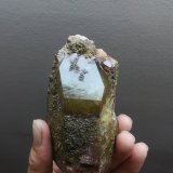 Cuarzo (variedad ahumado) con Epidota
15x8cm aprox
(Autor: ximocompany)