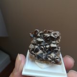 Cuarzo
4x4 cm aprox
(Autor: ximocompany)