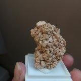 Microclina
4,5x3 cm aprox
(Autor: ximocompany)