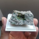 Clinozoisita, Pumpellita y Oligoclasa
6x4 cm aprox
(Autor: ximocompany)