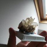 Yeso
5x5 cm aprox
(Autor: ximocompany)