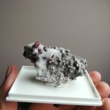 Cinabrio
8x5 cm aprox
(Autor: ximocompany)