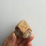 Cuarzo
6x5 cm aprox
(Autor: ximocompany)