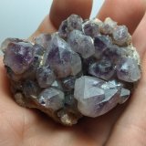 Cuarzo (variedad amatista)
6,5 x 4,5 cm
(Autor: Iwok)