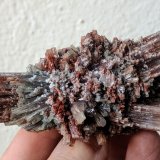 Aragonito
10,2 x 5,0 cm.
(Autor: carles)
