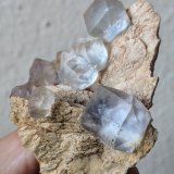 Fluorita, Barita
4,5 x 5,3 cm.
(Autor: carles)