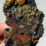 Vanadinita, Mottramita
9,5 x 5,2 cm.
(Autor: carles)