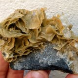 Siderita, Cuarzo
8,5x6,0x4,5 cm.
(Autor: carles)