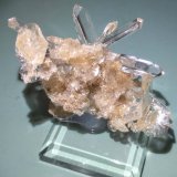 Yeso
5,0 x 4,7 cm.
(Autor: carles)