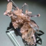 Yeso
5,0 x 4,7 cm.
(Autor: carles)
