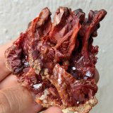 Vanadinita
6,0 x 6,3 cm.
(Autor: carles)
