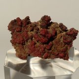 Cinabrio
34 mm x 23 mm
(Autor: Sante Celiberti)
