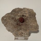 Cinabrio
112 mm x 93 mm
(Autor: Sante Celiberti)