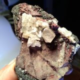Cinabrio, Metacinabrio, Celestina
110 mm x 85 mm
(Autor: Sante Celiberti)