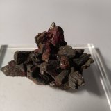 Cinabrio sobre Marcasita
48 mm x 38 mm
(Autor: Sante Celiberti)