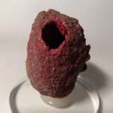 Cinabrio
50 mm x 54 mm
(Autor: Sante Celiberti)