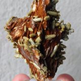 Piromorfita, Barita
6,8 x 4,5 cm.
(Autor: carles)