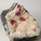Cinabrio, Dolomita
96 mm x 69 mm
(Autor: Sante Celiberti)