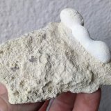 Ópalo (variedad menilito)
8,5 x 5,5 cm.
(Autor: carles)