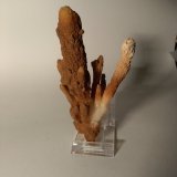 Aragonito
130 mm x 75 mm
(Autor: Sante Celiberti)