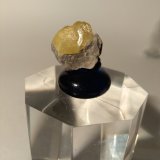 Azufre
17 x 15 mm
(Autor: Sante Celiberti)