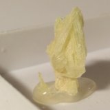 Azufre
18 x 8 mm
(Autor: Sante Celiberti)