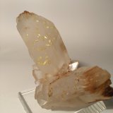 Azufre, Yeso
110 x 96 mm
(Autor: Sante Celiberti)